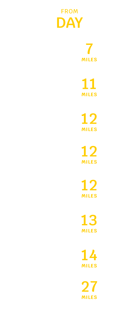 Avelo Airlines Dayton Ohio Flights